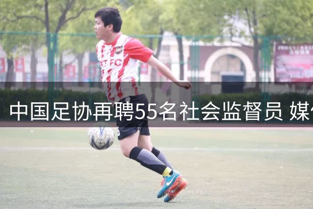 中国足协再聘55名社会监督员 媒体与球迷代表占比超六成