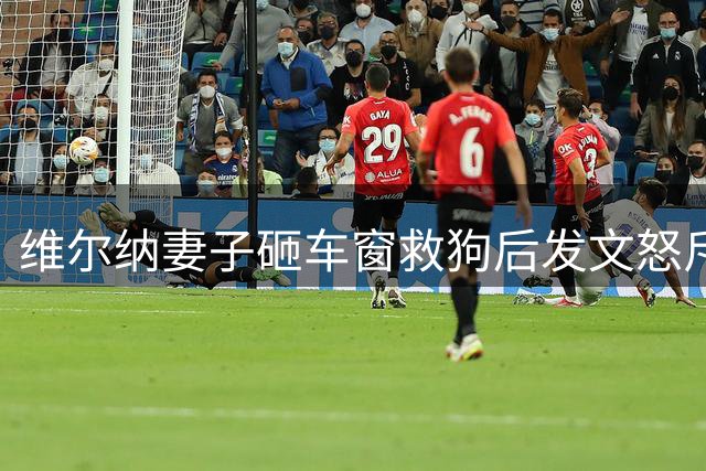 维尔纳妻子砸车窗救狗后发文怒斥主人：30度的天怎能把狗关车上？